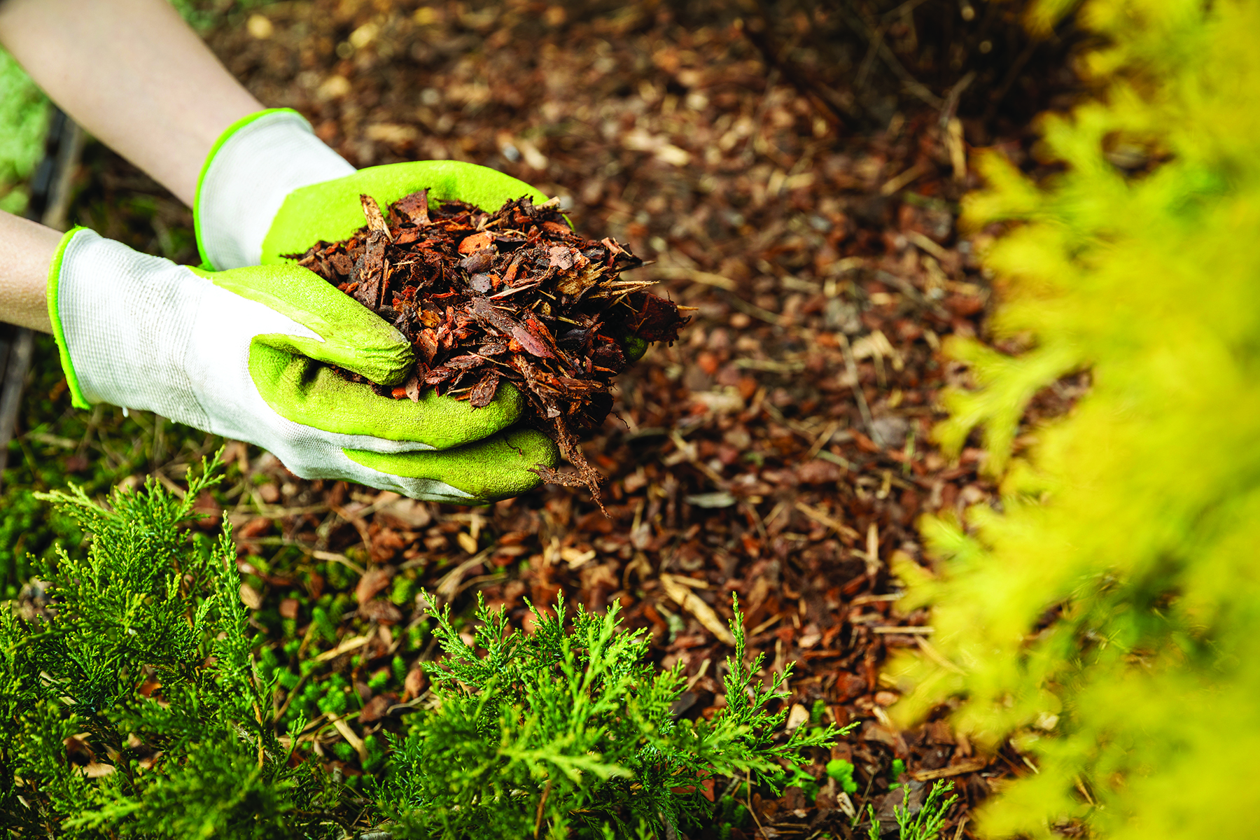 City to Host Composting Workshop