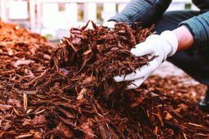 FREE Mulch Distribution Upcoming