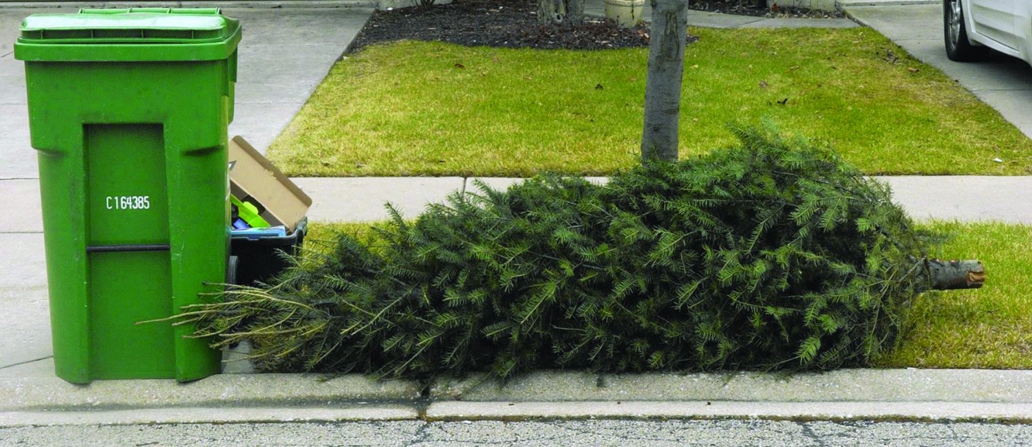 Christmas Tree Recycling