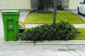 Reduce and Recycle During the Holidays