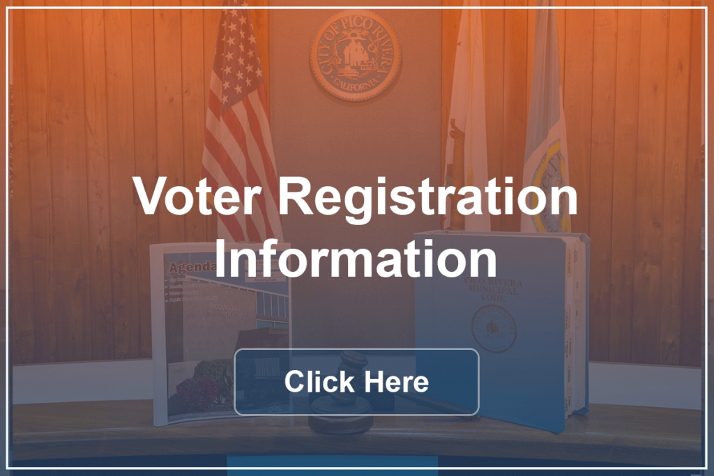 Voter Registration Information Button