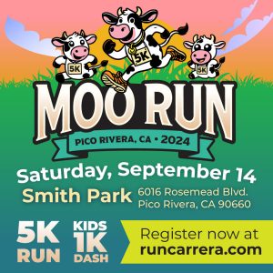 a poster for a 5k cow race