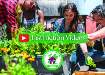 Countwide Virtual Gardening Programs