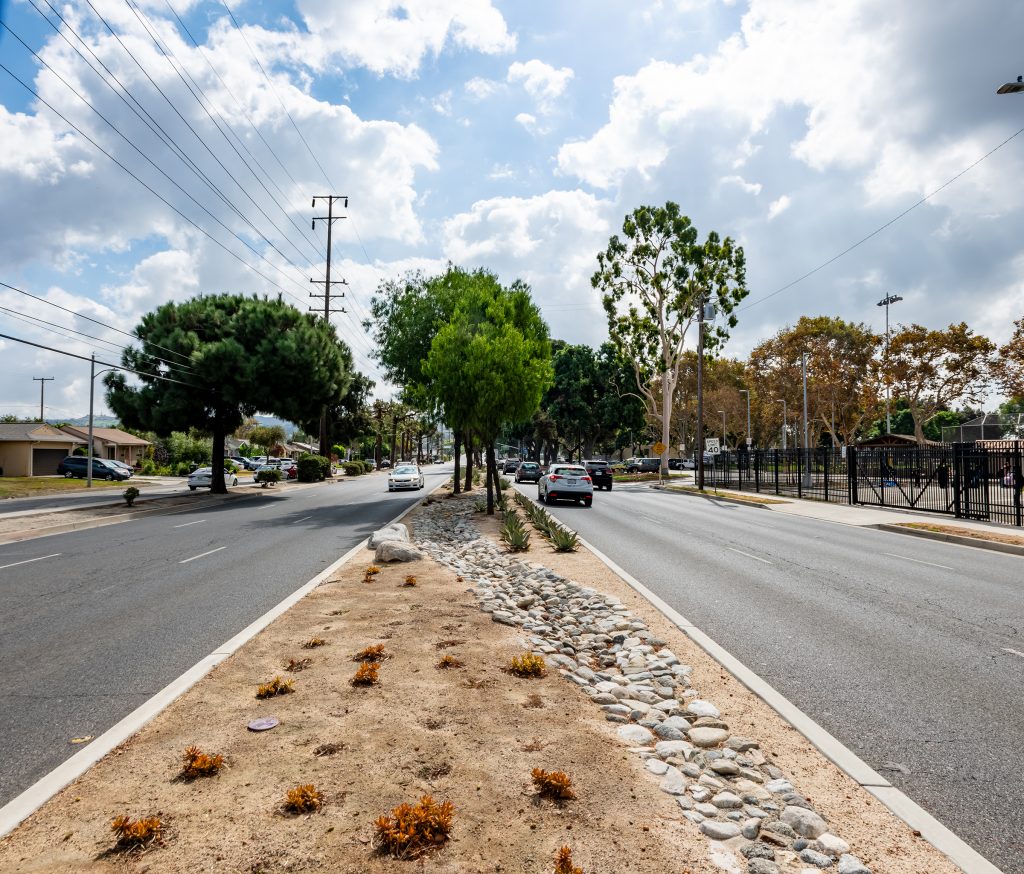 a road with trees and bushes on the side