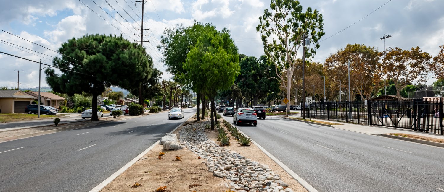 a road with trees and bushes on the side