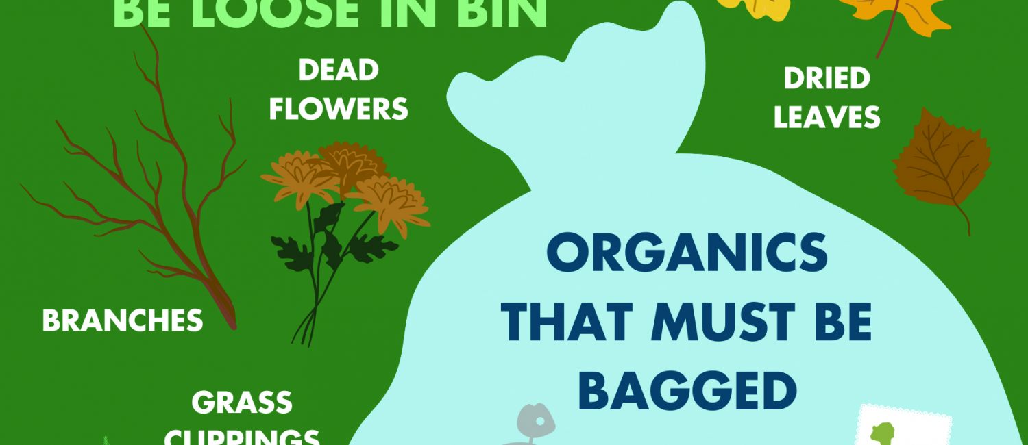 What Goes In Your Compost Bin? Infographic