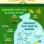 What Goes In Your Compost Bin? Infographic