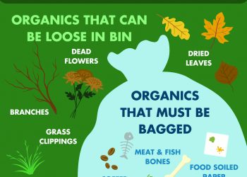 What Goes In Your Compost Bin? Infographic