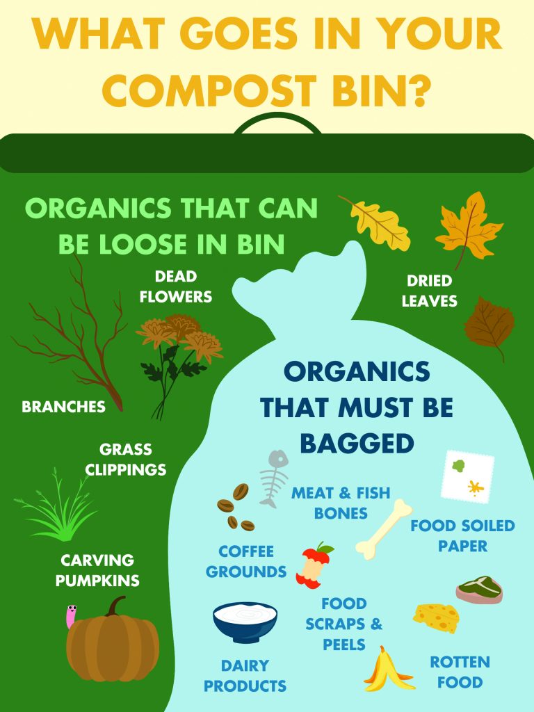 What Goes In Your Compost Bin? Infographic