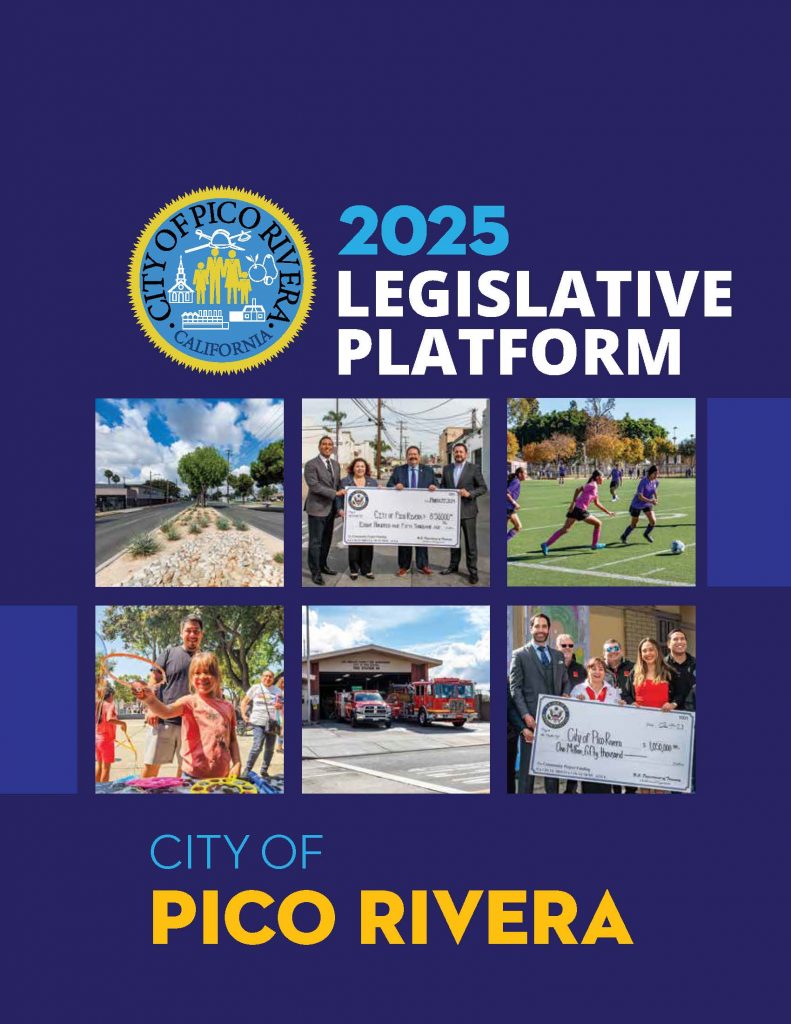 Legislative Book 2025